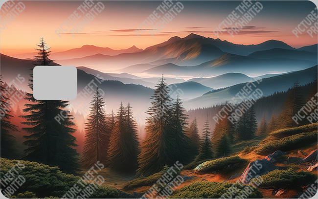 Bank  Card Sticker-BC-451